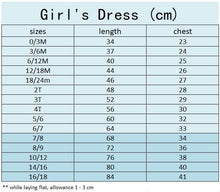 Load image into Gallery viewer, Long Sleeve Tulle Elena Dress